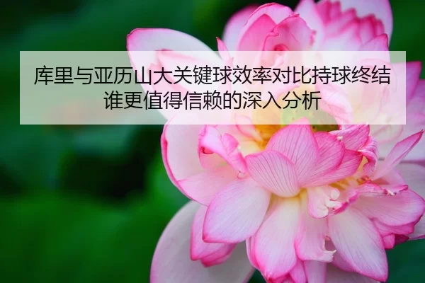 库里与亚历山大关键球效率对比持球终结谁更值得信赖的深入分析